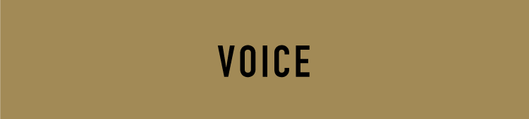 VOICE