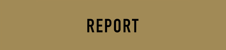 REPORT